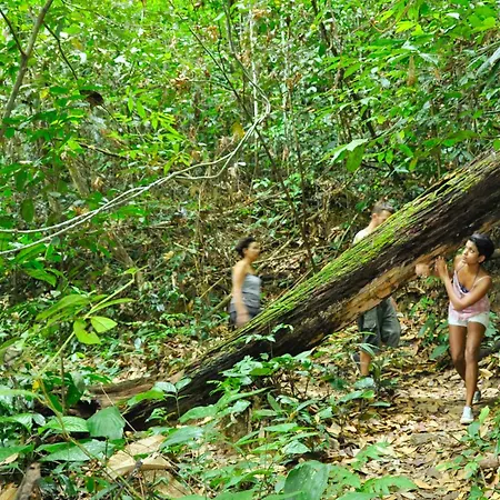 The Dusun-2